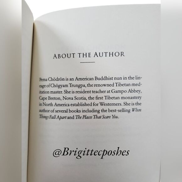 PEMA CHODRON Taking The Leap - Paperback - Picture 5 of 7